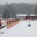 phoca_thumb_m_lye zvody 109 Fotogalerie